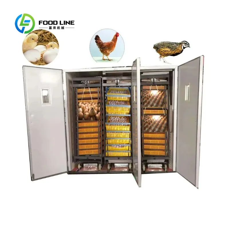 Automatic Multifunctional Gas Coal Charcoal Electric 16896 Chicken Eggs Combined Incubator Hatcher Customized Design