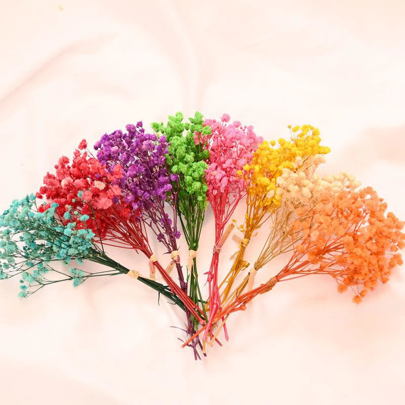 

12cm Small Fresh Preserve Flowers Gypsophila Paniculata Eternal Bouquets Valentine's Day Home Party Wedding Decor Fake Flower