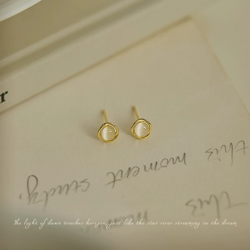 Temperament earrings for women, new high-end style, compact and exquisite