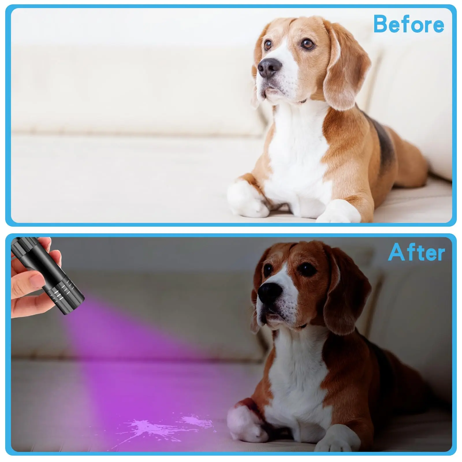 395nm UV Flashlight Ultraviolet Torch With Pen Clip Portable Violet Light Pet Urine Scorpion Detector UV Lamp Use AAA Batteries