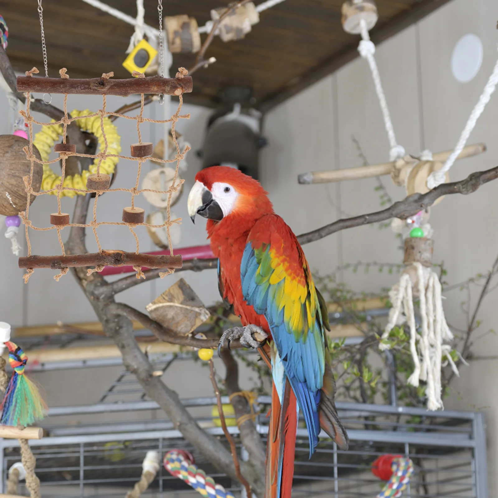 

Climbing Rope Net Parrot Bird Cage Toys Colored Hanging Swing Durable Reusable Safe Material Sturdy Practical Pet Playing Easy