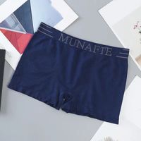 5Pcs Quick Drying Boxer Underwear Letter Mid-Waist Elastic Boxer Briefs Lift Buttocks Breathable Men Thin Underwear Summer