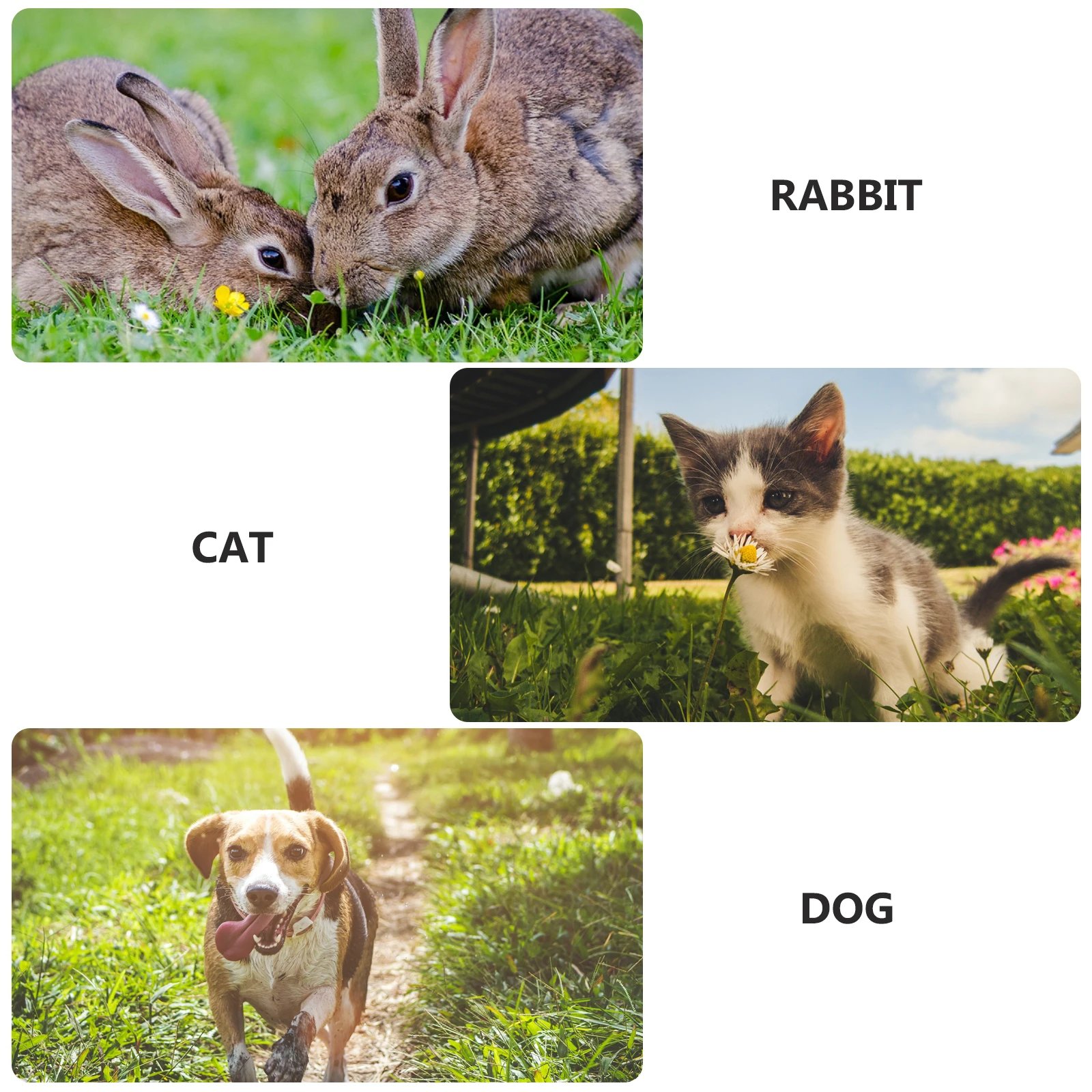 1 Juego de jaula para mascotas, caja de alambre de Metal, parque infantil para gatos, valla para perros, bricolaje, perrera de hierro duradera para gatos, perros, conejos, suministros para el hogar