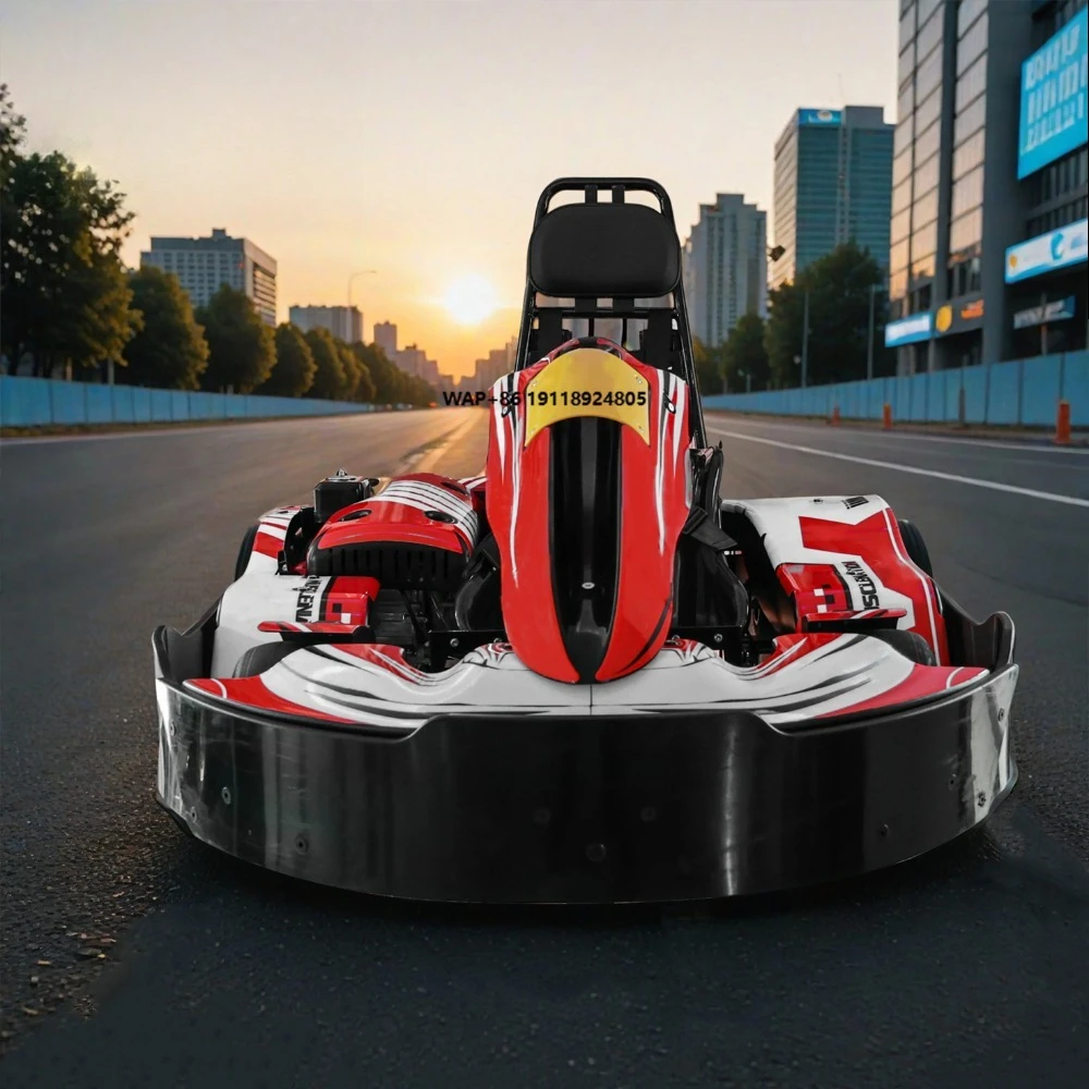 Anti-crash Racing Commercial Rental Kart Durable 200cc 4 Stroke Gas Powered Entertainment Go Karts Indoor Outdoor