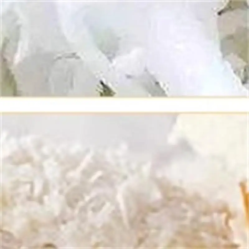 Electric Coconut Scrapper Coconut Kernel Grater Machine Stainless Steel Automatic Coconut Meat Grinder