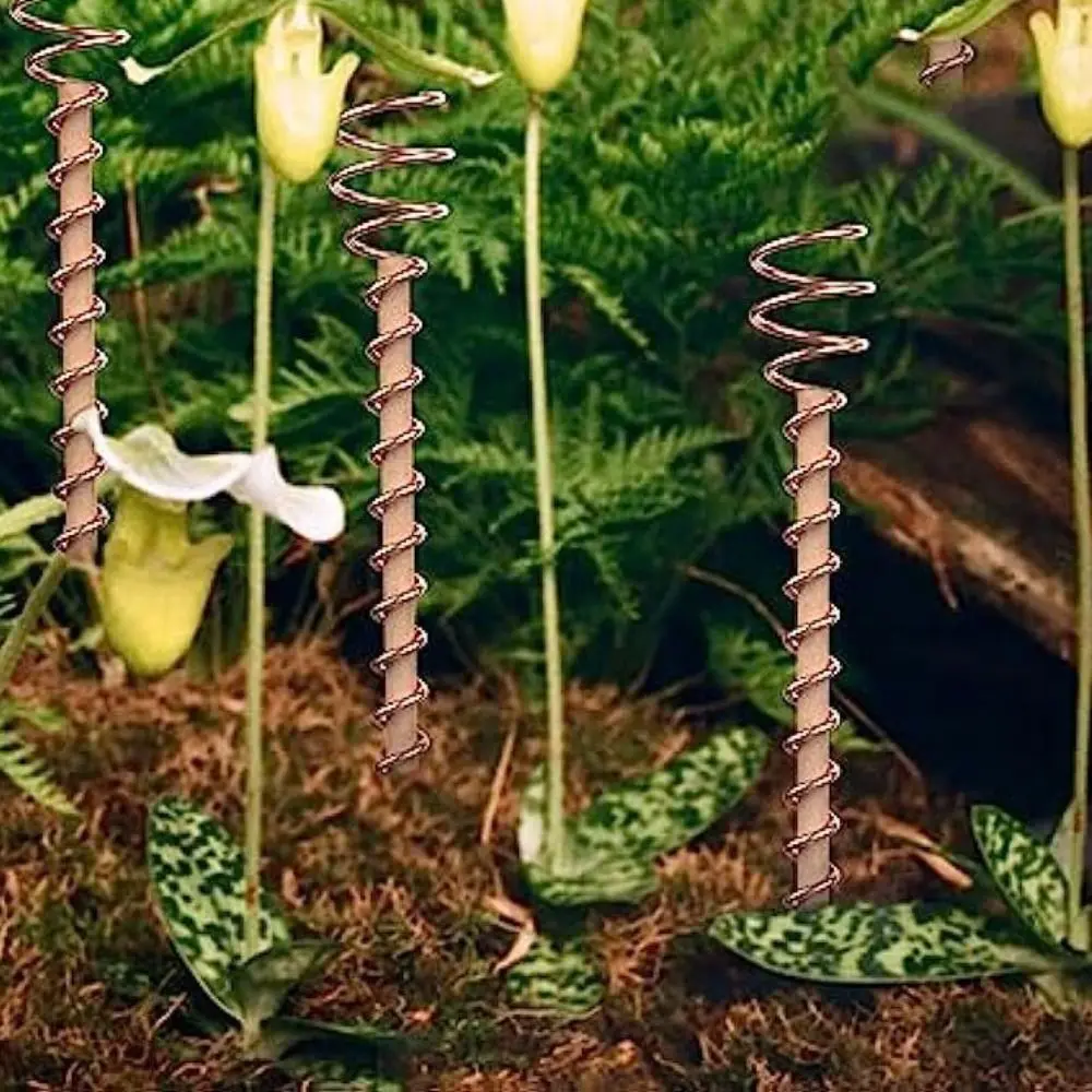 Copper Electroculture Plant Stakes Wire Coil Wood Rod Gardening Copper Coil Antennas Electroculture Vegetables Stake Plants