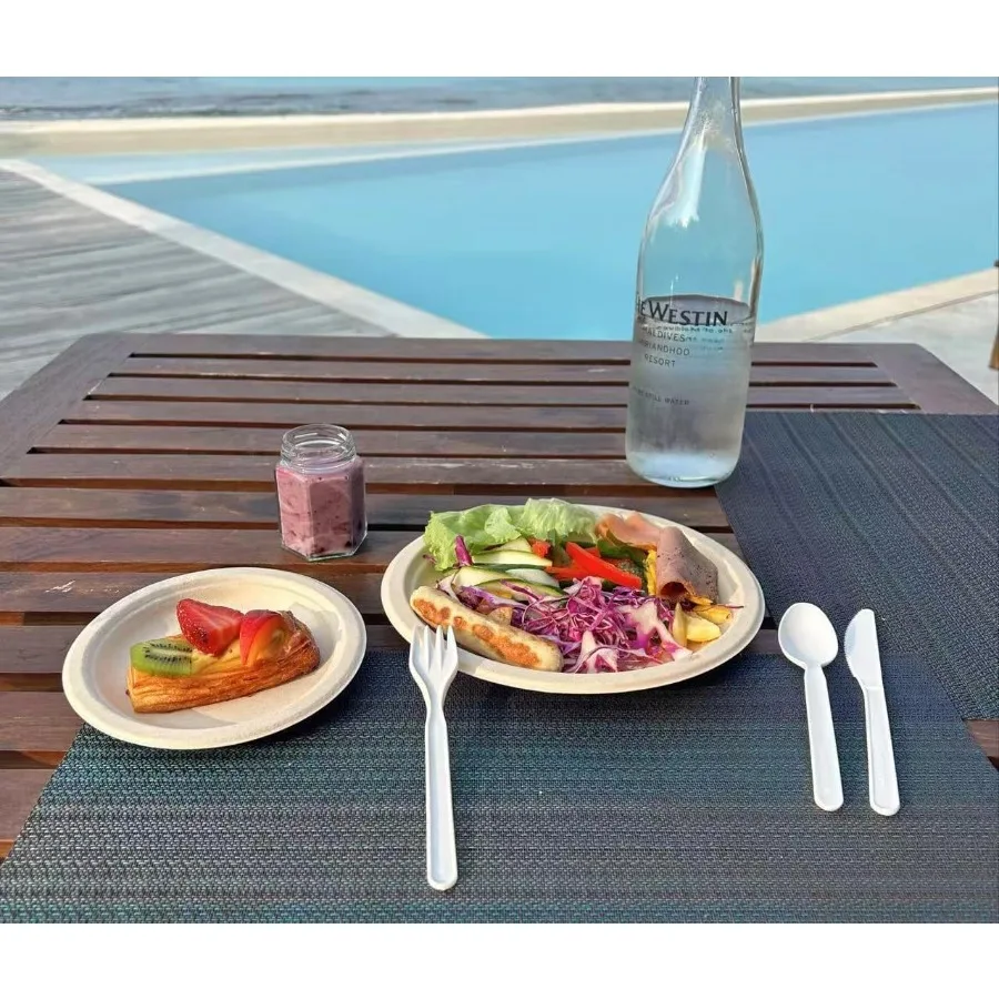 ملاعق قابلة للتحلل شديدة التحمل للمناسبات الخارجية وتناول الطعام وصديقة للبيئة ومعتمدة من BPI عدد 100 كبير للاستعمال مرة واحدة #5