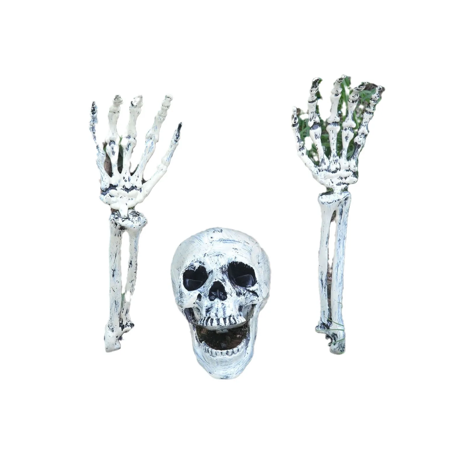 ‌Skeleton Ground Stake‌ - Realistic Skull Garden Decor for Halloween