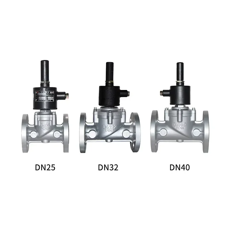 Detalle 3 de Electroválvula XXT Industrial NO Threaded LPG Emergency Shut-off Valve NC Flange Natural Solenoid Valve for Industrial Boiler Pipeline Gas y combustible