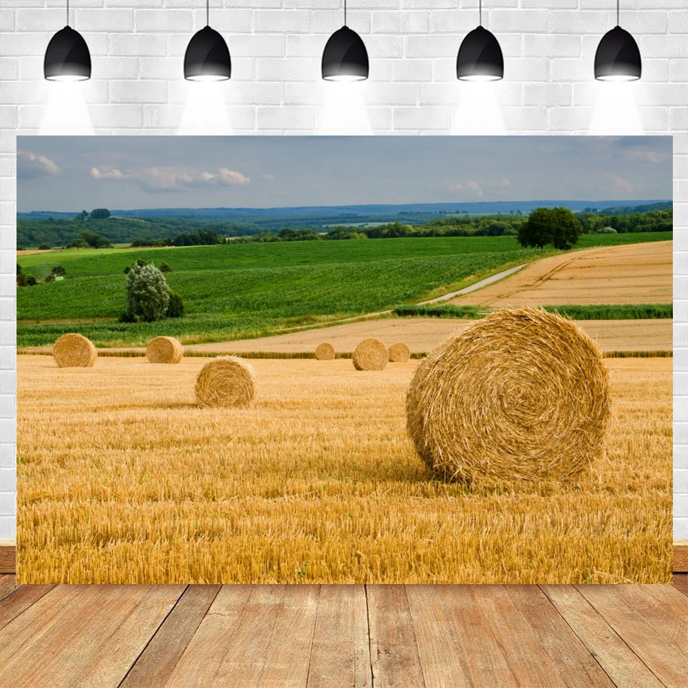 Autumn Harvest Backdrop Golden Wheat Field Excavator Rustic Hay Bale Photography Background for Farm Themed Birthday Decoration