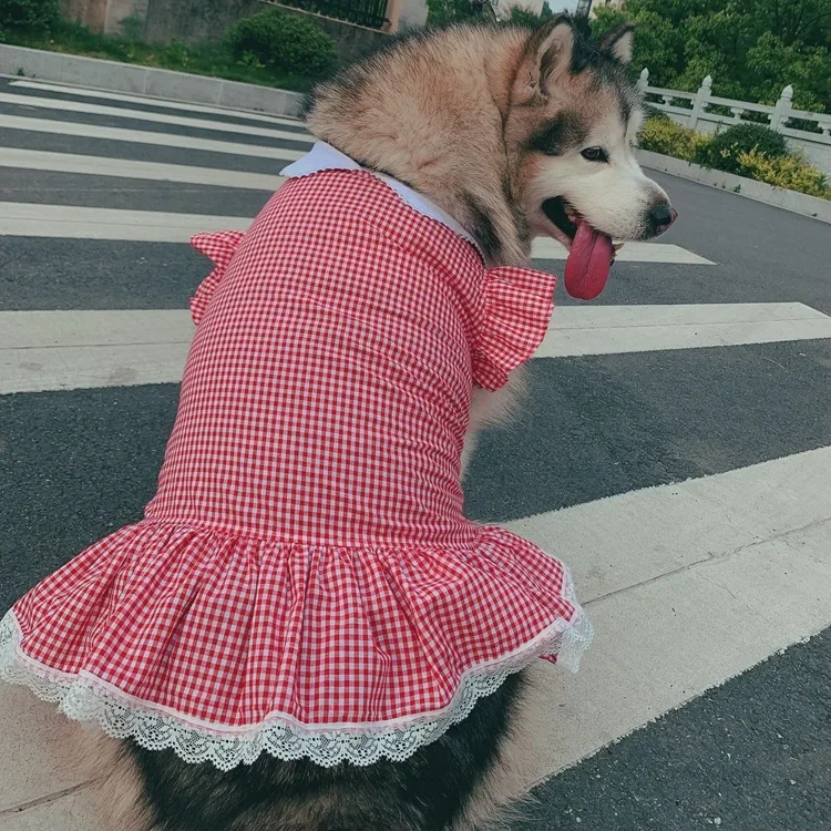 Cute Princess Pet Skirt Teddy Cat Bullfighting Allah Golden Retriever Lace Big Dog Skirt Spring Summer