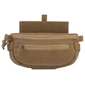 Coyote Brown