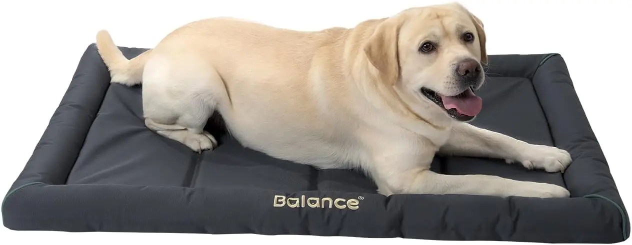 

Очень большой водонепроницаемый коврик для собачьей клетки, 48 дюймов, легко чистится и можно стирать в машине, для животных весом до 90 фунтов.