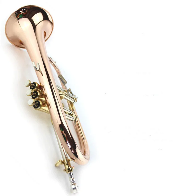 

Hooqu Teaching Recommended Trumpet Wind Instrument B Flat Trumpet Instrument Factory Wholesale Brass Wind Musical Instrument