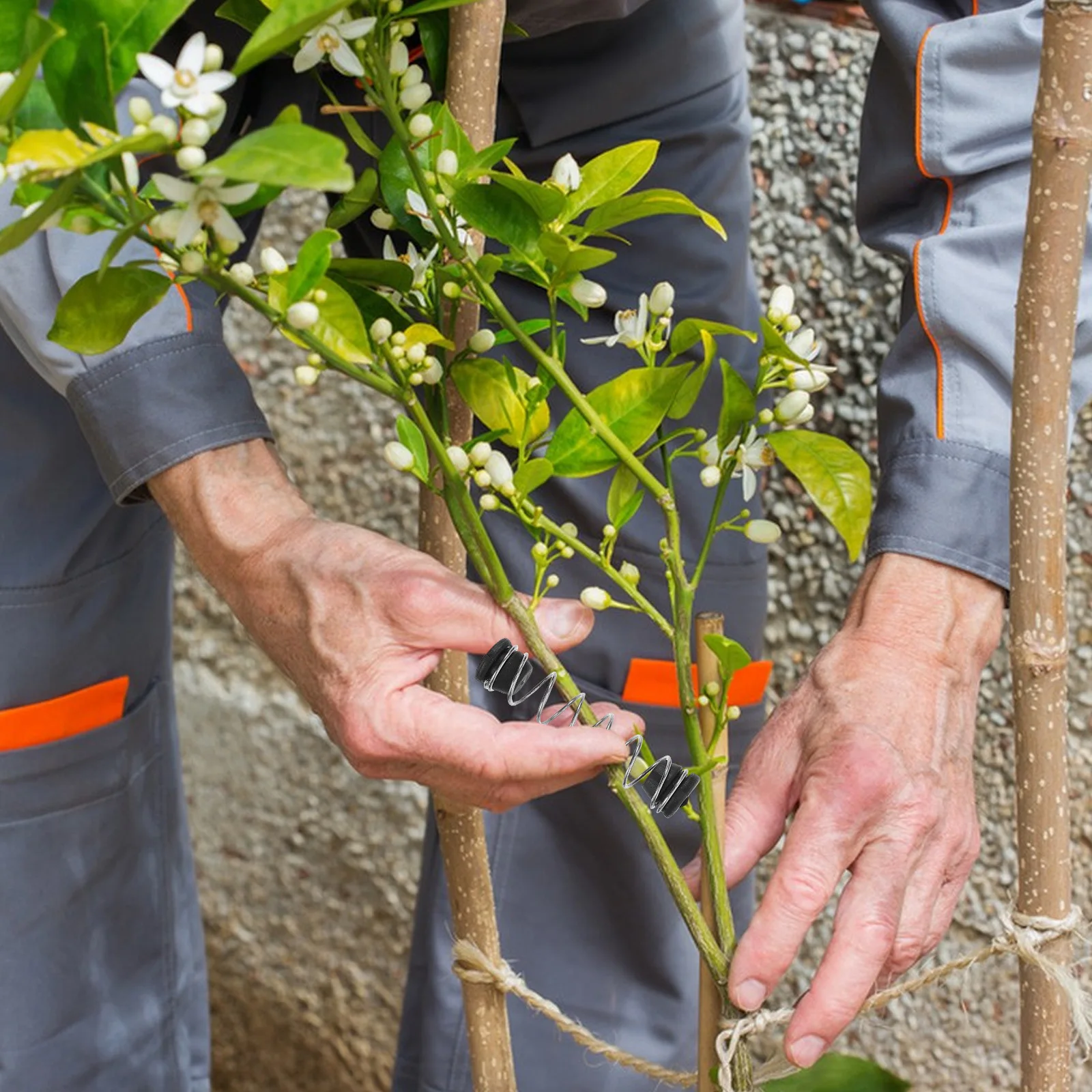 

35pcs Pruner Replacement Spring For Garden Scissors Hedge Clippers Reduces Hand Fatigue Easy Maintenance Gardening
