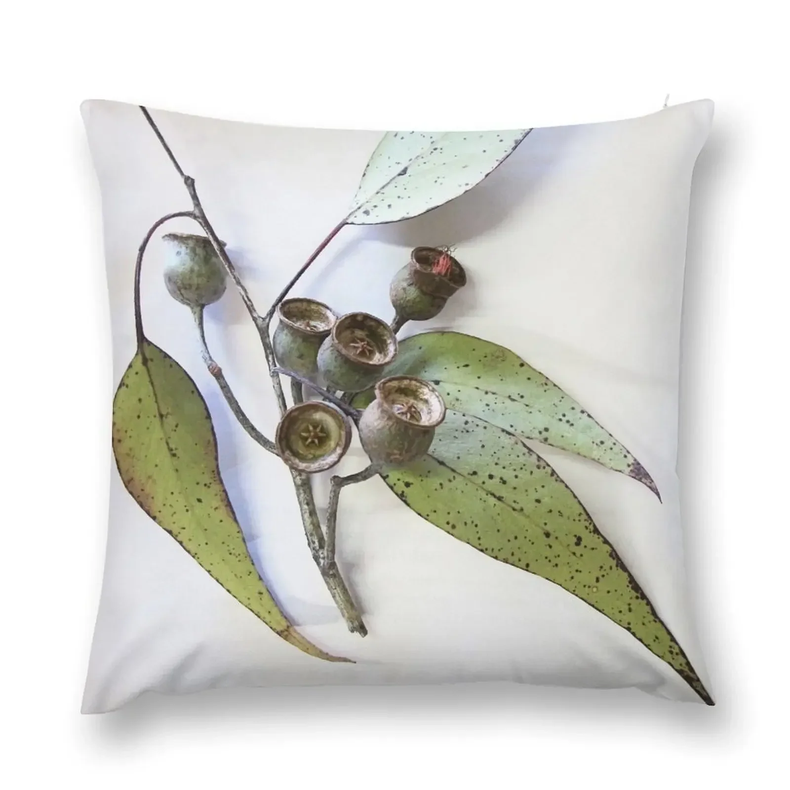 Marri eucalypt leaves and nuts, Western Australia Throw Pillow Pillowcases Embroidered Cushion Cover pillow