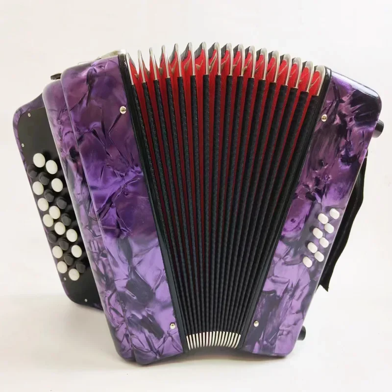 Keyboard accordion 8BS/12BS/60BS/96BS/120BS Diatonic instrument button traditional keyboard accordion