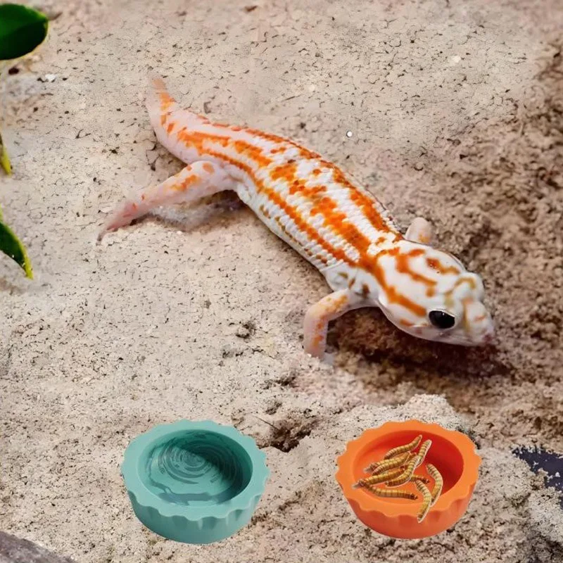 Reptile Feeding Bowl Silicone Food Water Bowl Colorful Gecko Feeding Dish Small Pet Feeding Cover Lizard Spider---60PCS