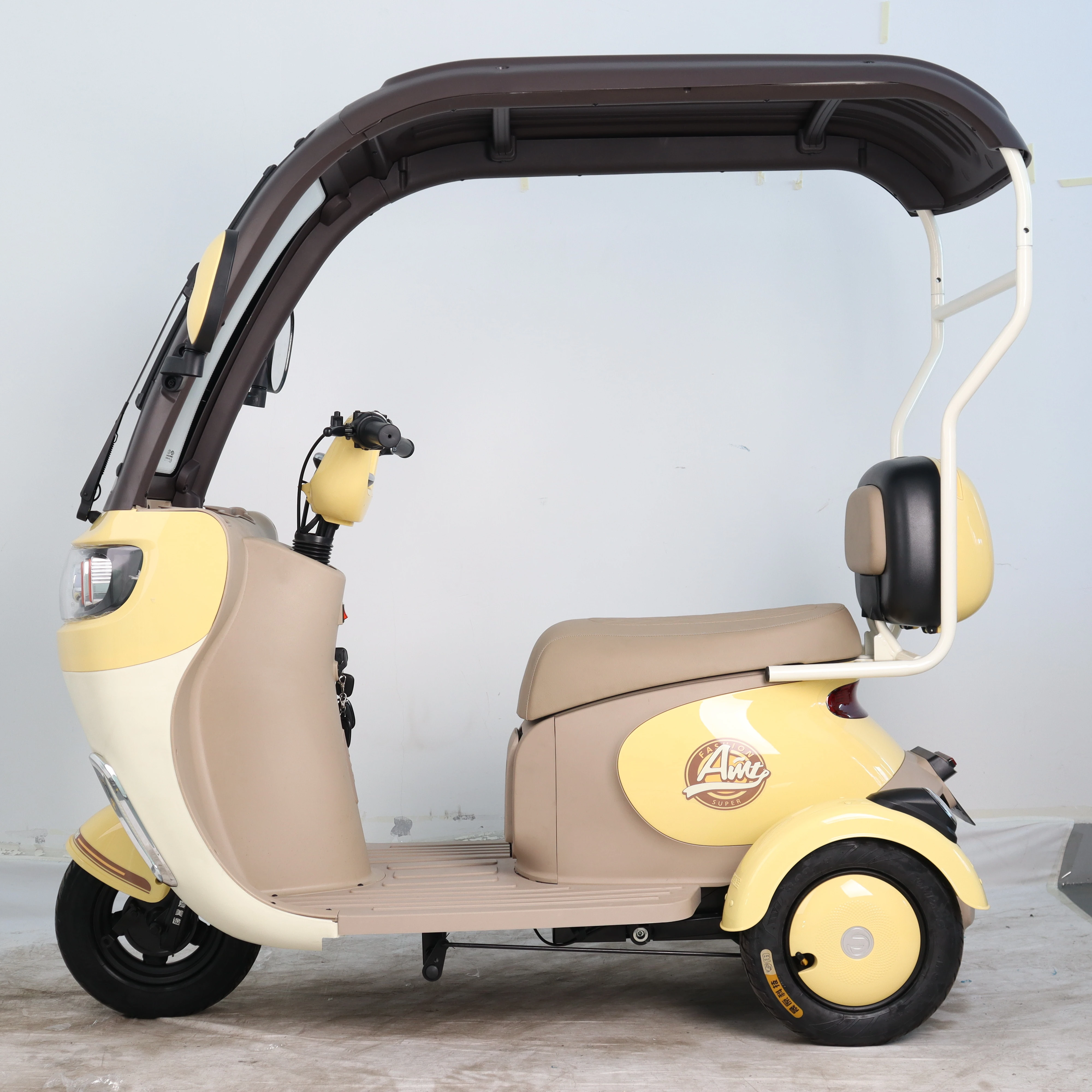 

Adult Electric Tricycle for Short Trips Green Energy Thickened Frame Powerful Motor Recreational Battery Operated Trike Open