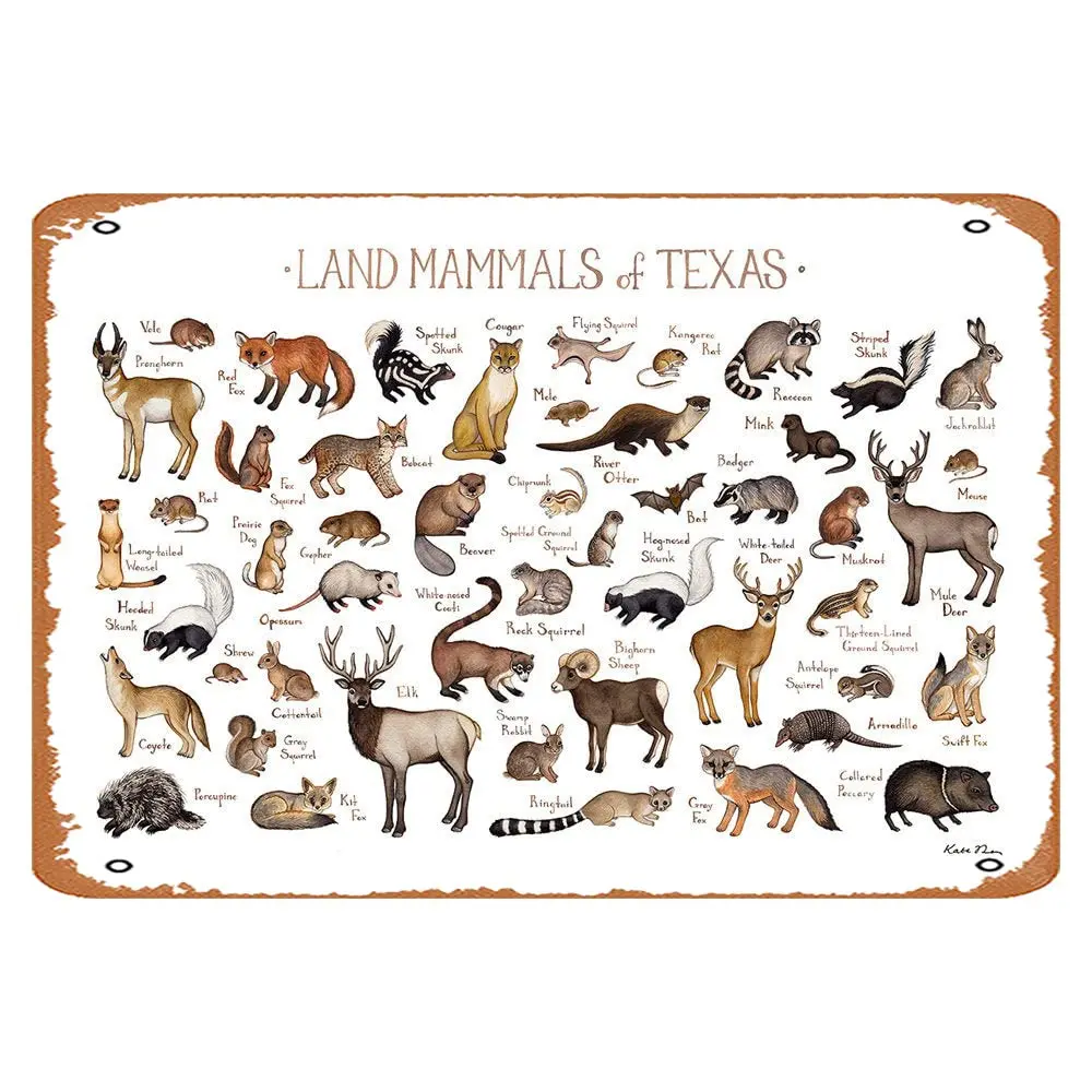 AirBnk Vintage Tin Sign Texas Land Mammals Field Guide Art Print Animals Of Texas Nature Print Wildlife Poster Canvas Wall Art P