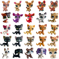 Rare littlest pet shop lps toy toy Stands Short Hair Cat Original Kitten Husky Puppy Dog Fox Cute Animal Old Bobble head toy