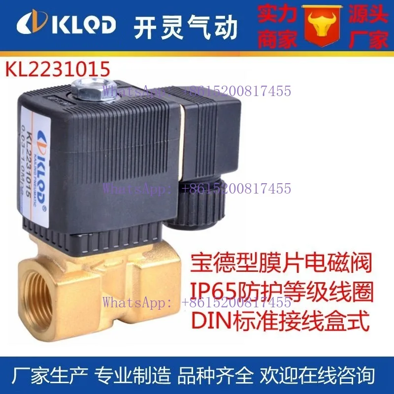 

KL223 West German Solenoid Valve | Export Type 6213A Water and Gas Pilot Diaphragm (Explosion-proof model)