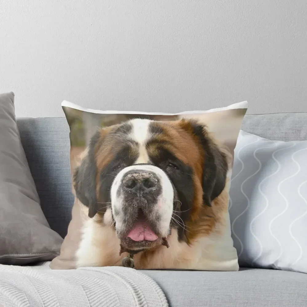 

St Bernard dog - ready for a hug! Throw Pillow Couch Cushions Sofa Pillow Cover Pillow Decor Pillowcases Bed Cushions