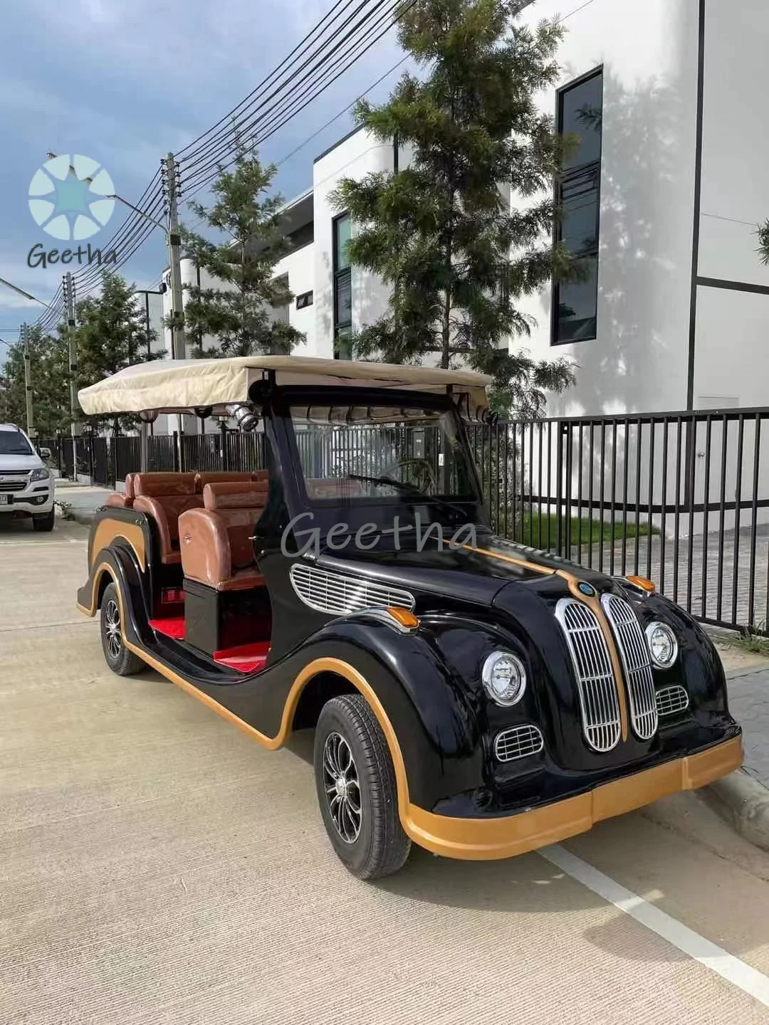 WELIFTRICH 6 Seater 6 Passenger Electric Golf Cart Cheap Old Golf Carts Vintage Classic Car for Sale