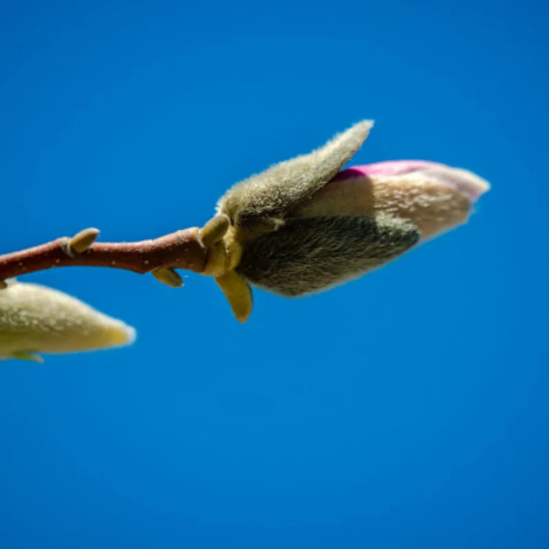 

Metal Upgrade Metal Wheel Tire for Wltoys WPL MN LC RC HL Remote Control Car