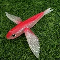 XF01-4PCS-SET-2