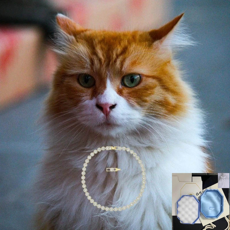 

2025 popular innovative explosive jewelry 925 silver necklace women's art light luxury mysterious exquisite jewelry