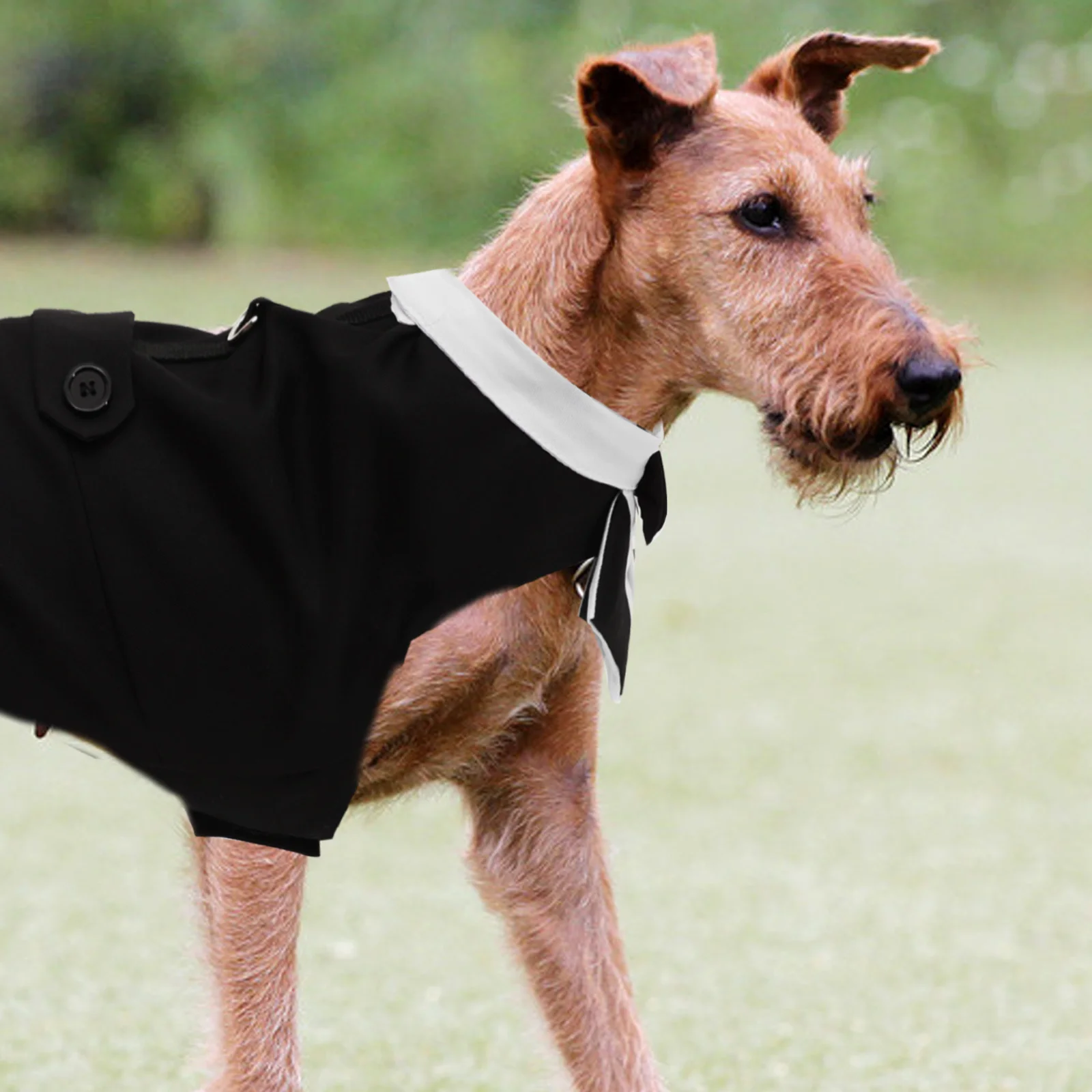 

1Set Dog Tuxedo Suit Set Breathable Formal Wear for Wedding Party Christmas Birthday Photo Chic Design Small Medium Large Dogs