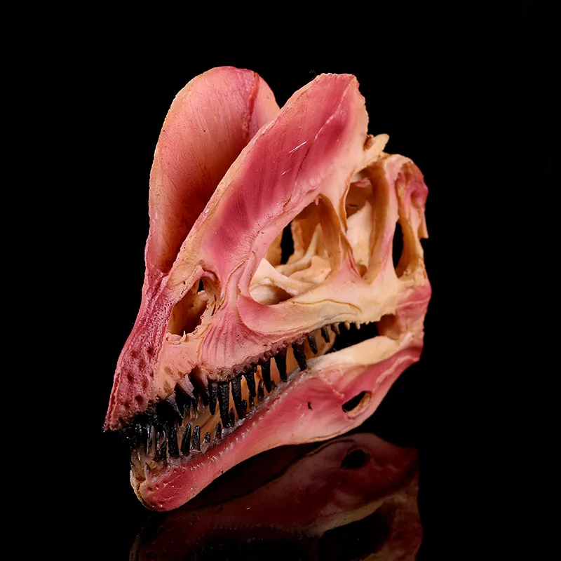 Dilophosaurus Painted Dinosaur Resin Crafts Fossil Ornament Statues Handcraft Zoo Skull Specimen Display Model Props Home Decor