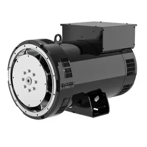 سعر المصنع متزامن التيار المتناوب 40kw 50kw 100kw 160kw 200kw Leroy Somer المولد بدون فرش مع Avr