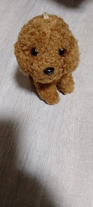 실물 포토 리뷰