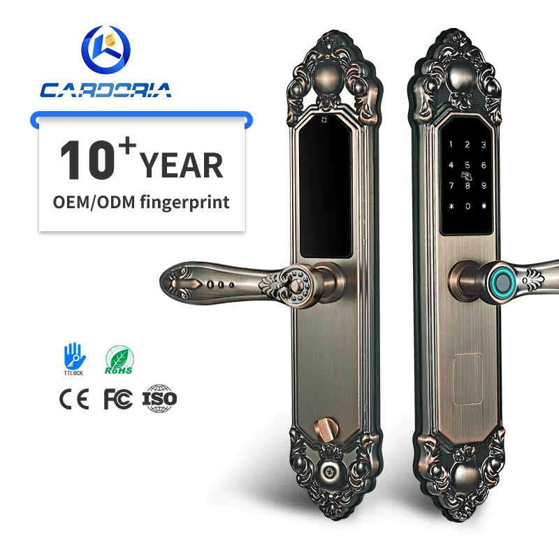 

Классический европейский стиль, электронный автоматический дверной замок с отпечатками пальцев, TTlock, приложение для управления паролем, IC ID-карта, дверной замок