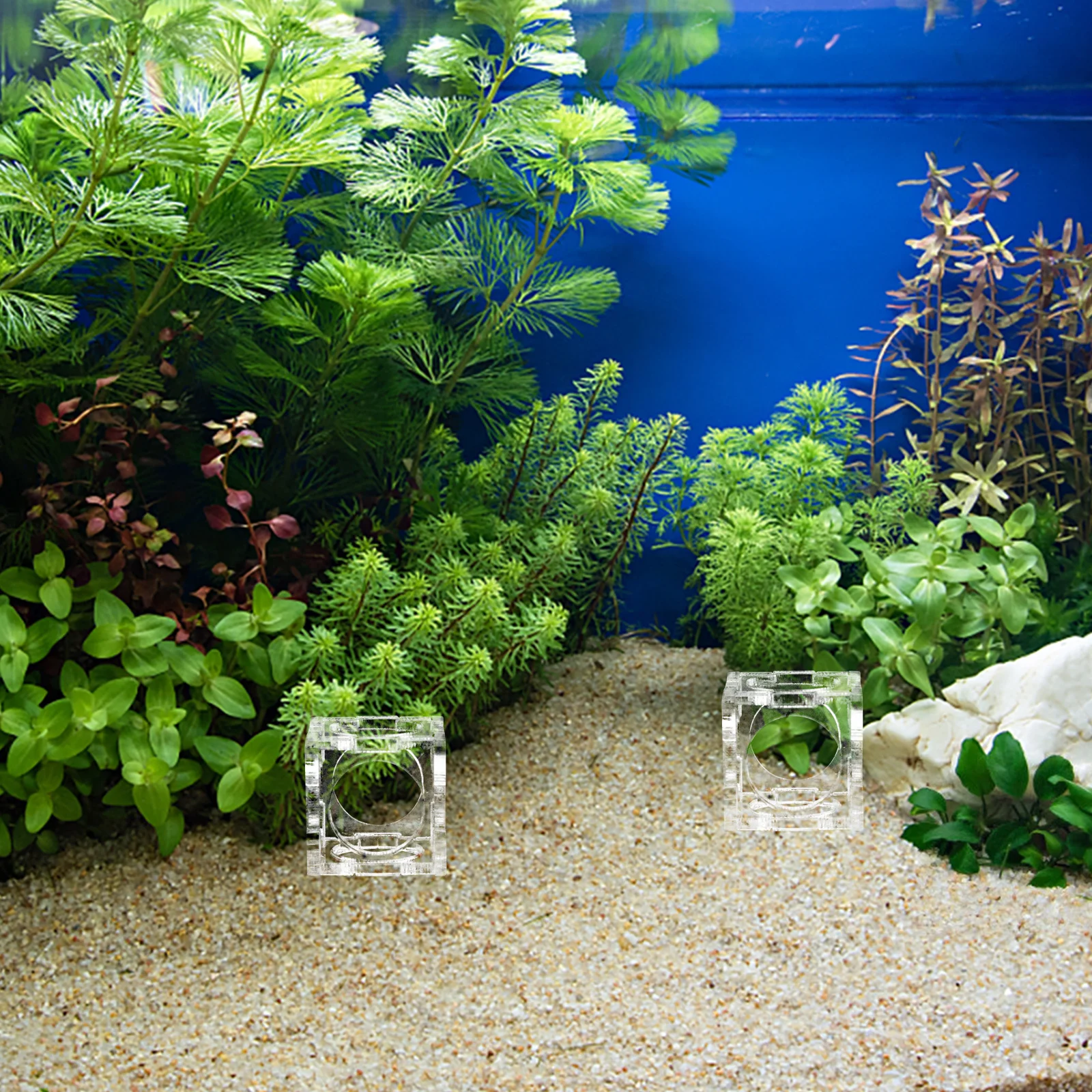 

6Pcs Shrimp Crystal Acrylic Nest for Aquarium Spawning Habitat Fish Tank Decor Cave Shelter Breeding Container