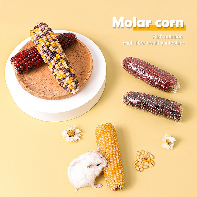 Mini Snack Corn Hamster Food Staple Food Molar Toys Golden Bear Rabbit Chinchilla Molar Corn Cob Molar Snack