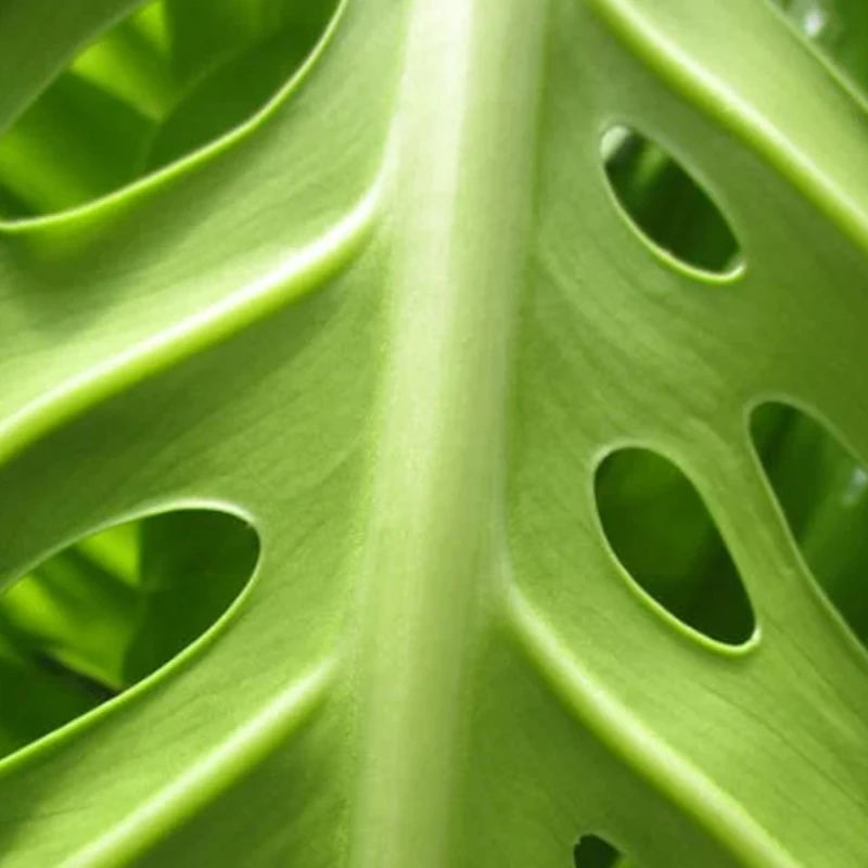 

iFlight R5 2207 2100KV Race FPV Motor with 5mm Shaft for Drone Mach R5 Sport FPV Part