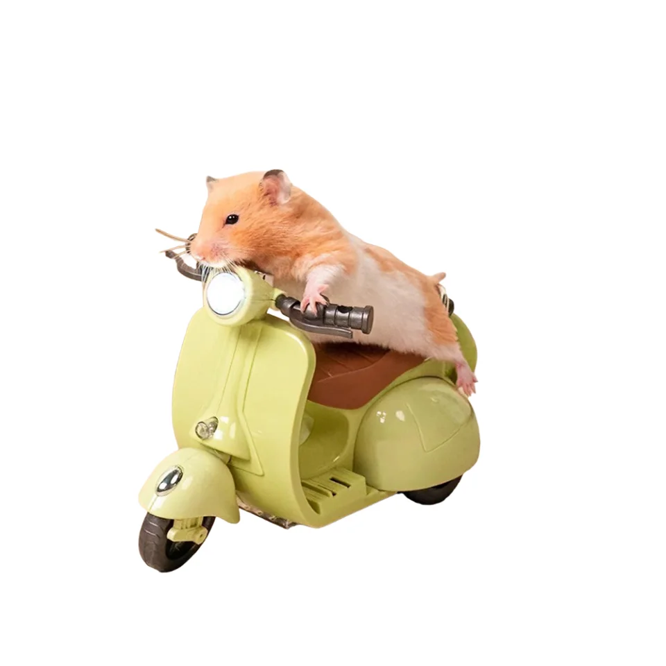 

Plastic Hamster Stunt Motorcycle Hamster Toy 360 Rotating Swinging Electric Motorcycle Mod for Hamster