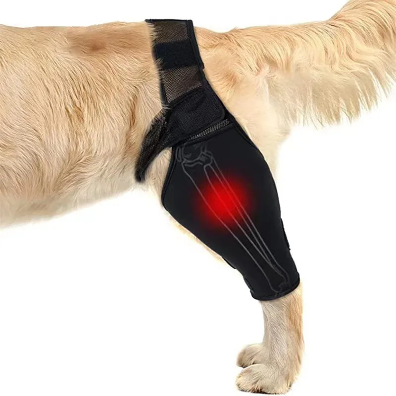 Pet Knee Pads For Joint Injury Recovery Legs Protector Dog Thigh Brace Wrap Adjustable Support Belt Post-operative Fixation