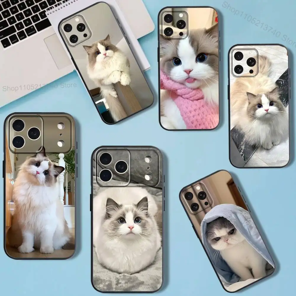 

CUTE R-Ragdoll cat Phone Case For iPhone 11,12,15,16,17,13,14,Pro,Max,Plus,E,Mini,Air,SE4 Black Soft Box