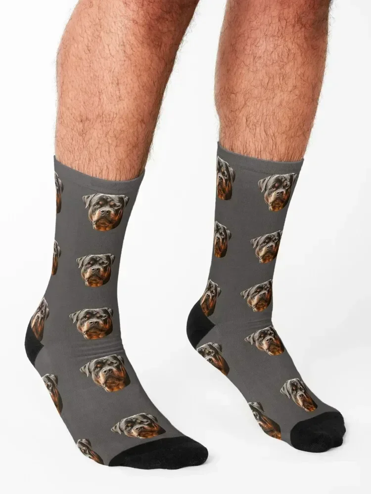 Rottweiler Stunning Dog Head Art Socks funny gift Run christmas stocking moving stockings Socks Women Men's