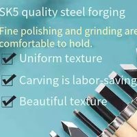 12pcs Wood Carving Chisels Set For Basic Cutting & Detailed Woodworking DIY Hand Tools Gouges Knife Kit