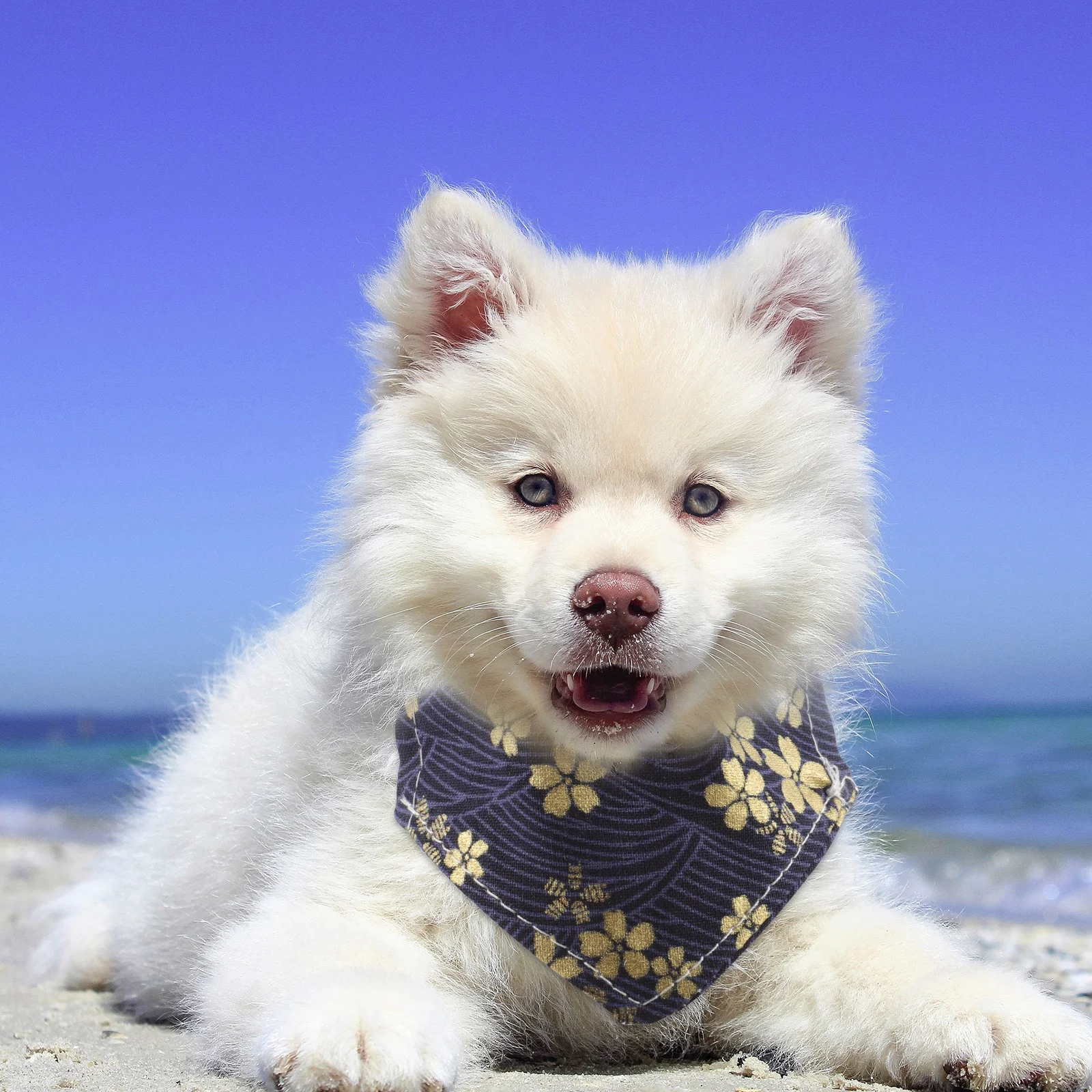 

Dog Triangular Bandana Flower Pattern Puppy Cat Scarf Washable Pet Birthday Party Supplies Decor Pet Scarf Dog Bandana