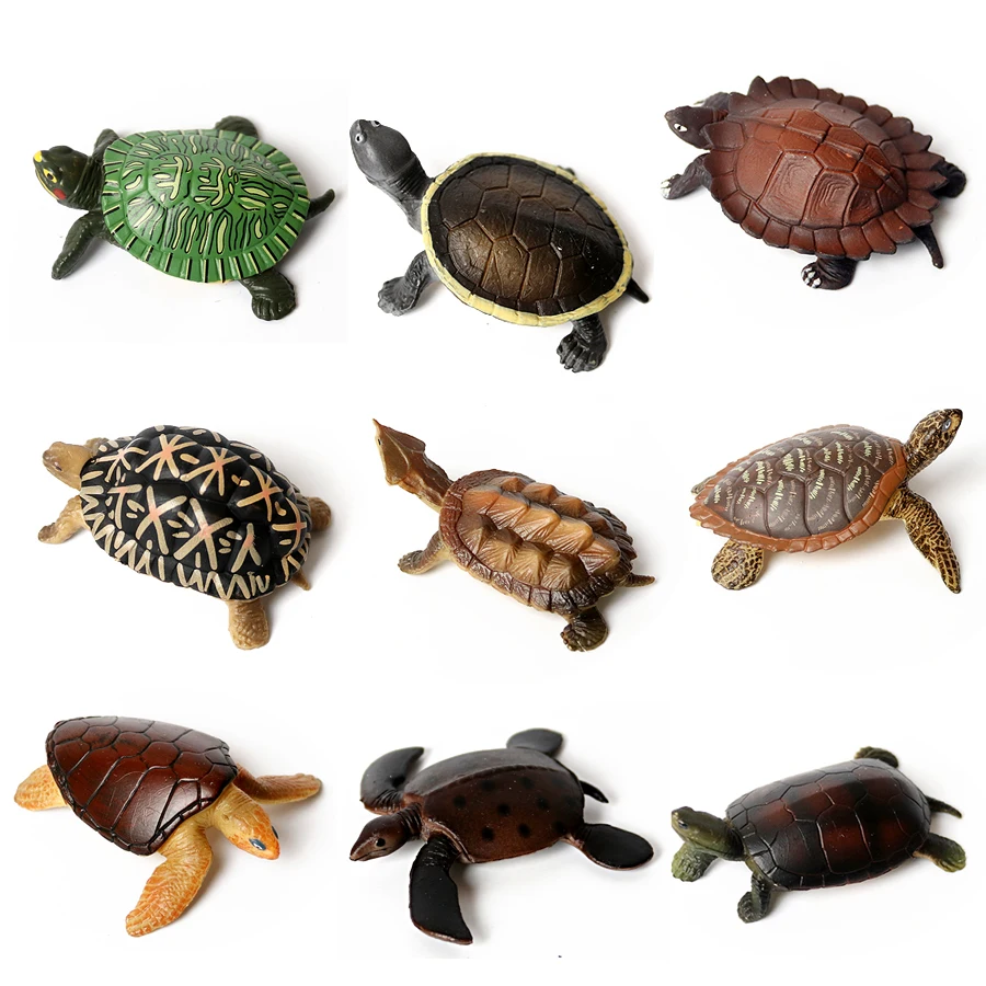 Plastic Ocean Sea Turtle Animal,Unique Tortoise Life Growth Cycle Biological Model Figure Reptiles Party Favor Decorations Toys