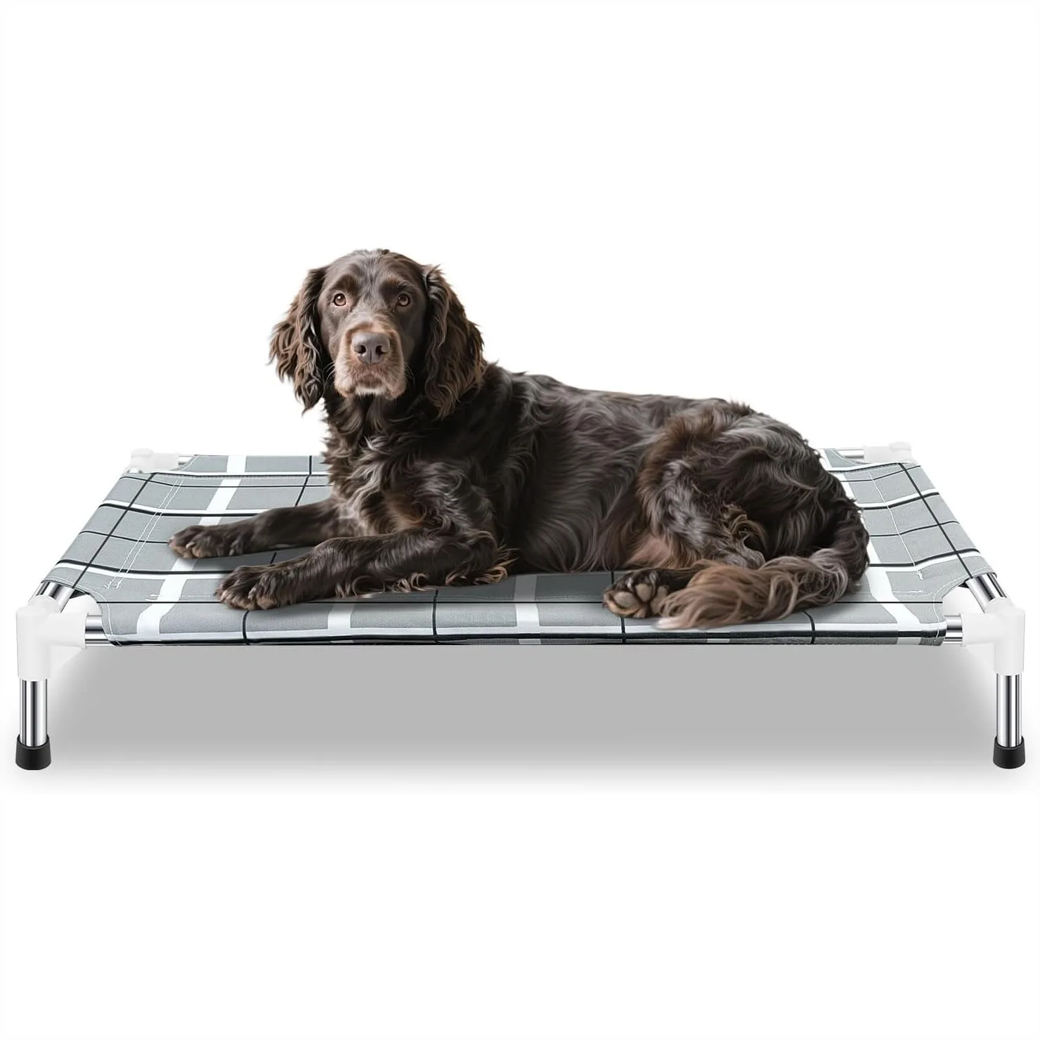 

Outdoor Dog Bed with Cooling Lifted Design, Non-Slip Feet, and Stainless Steel Frame for Indoor & Outdoor Use
