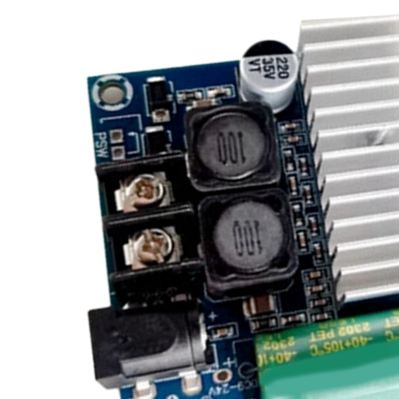 TPA3116 High-Power Subwoofer Amplifier Board Mono 100W Fever Level Audio Quality 24V