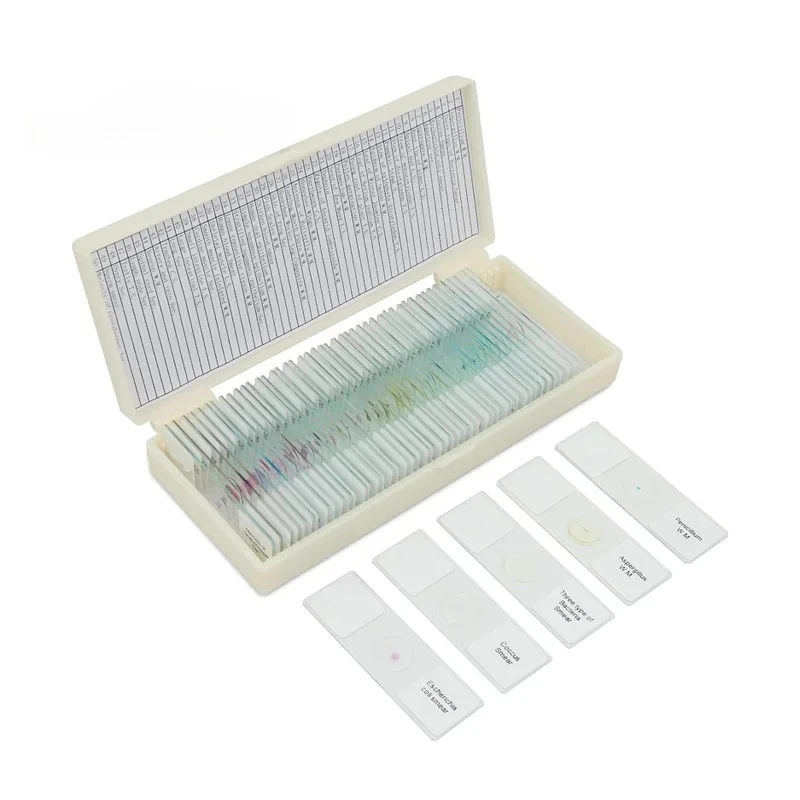 100 Kinds Of Medica… - image