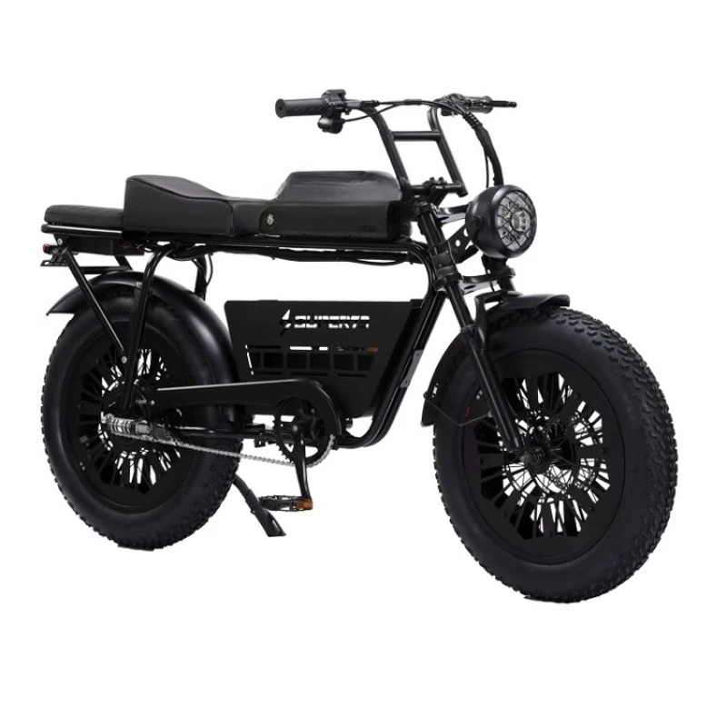 

Electric bicycle off-road mountain with the same variable speed power adult tram